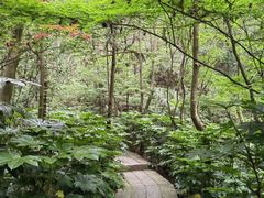 -杭州半山国家森林公园