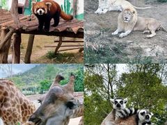 -泉州海丝野生动物世界