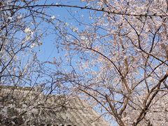 -三里河公园