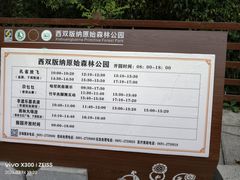 -西双版纳原始森林公园