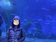 -多彩贵州城极地海洋世界