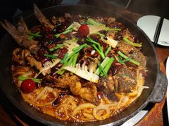 -老板恋上鱼(高新万达店)