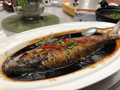 -舜泉海鲜(百官店)