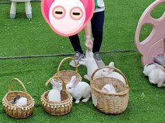 -正佳雨林生态植物园