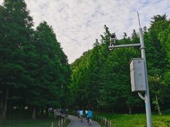 -贵阳市花溪国家城市湿地公园