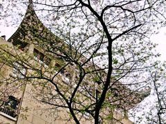 -武汉大学-樱园