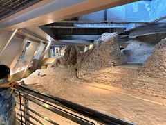 -西湖外事游船(花港观鱼码头)