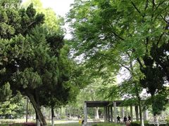 -泰州凤城河风景区-泰山公园