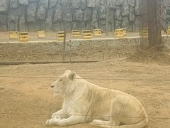 -秦皇岛野生动物园