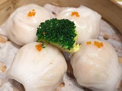 -旺金鸽·传承15年老字号·手工早茶(荔湾坦尾桥中店)