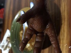 -张醪糟