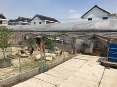 -小鱼草莓采摘园农家乐·小鱼餐厅