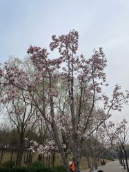 -大望京儿童游乐场