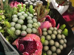-双季花艺园艺市场(浦东店)