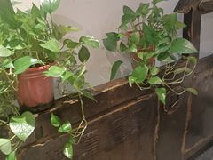 -浔庐餐厅•江西老字号•九江菜(南湖国际店)