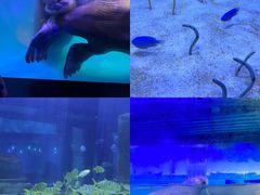 -正佳极地海洋世界