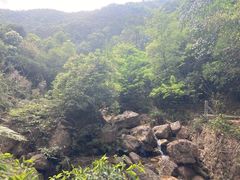 -南海湾森林生态园