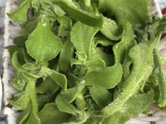 -慢丽江·云南野生菌土鸡锅(付家庄店)