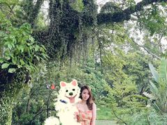 -彩虹桥宠物火化殡葬善终服务(金乐大厦店)