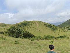 -大姆山草场