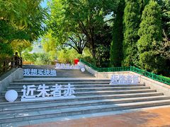 -青岛方特梦幻王国