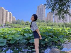 -前关湿地公园