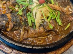 -老板恋上鱼(恒隆广场店)