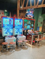 -卡通尼·Safari非洲探索乐园·生日会(金桥国际商业广场店)