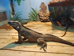 -石家庄市动物园