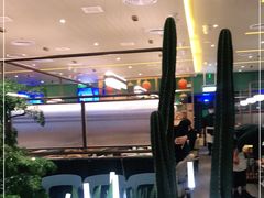 -润园四季椰子鸡火锅(南山海岸城店)