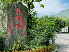 -碧峰峡风景区
