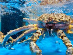 -盒马鲜生(曜一城店)