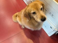 -和它·交个朋友·狗咖猫咖(爱琴海店)