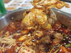 -川囧肥肠鸡·美蛙鱼锅(平高广场店)