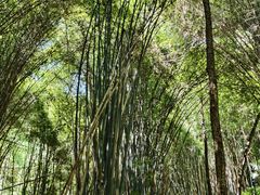 -凤栖山