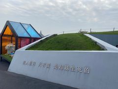 -荷兰花海