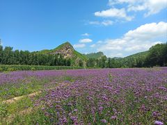 -百里山水画廊