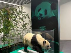 -中国湿地博物馆