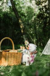 -ZOO KIDS象集摄影工作室(西城公馆店)