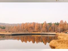 -塞罕坝国家级自然保护区