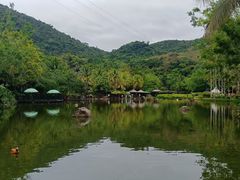 -呀诺达热带雨林
