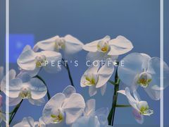 -Peet's Coffee皮爷咖啡(万象天地店)