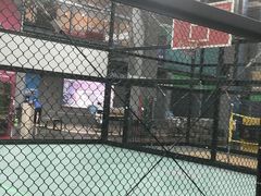 -运动派(北京店)