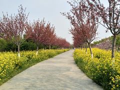 -古柏渡飞黄旅游区