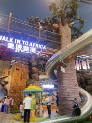 -卡通尼·Safari非洲探索乐园·生日会(金桥国际商业广场店)