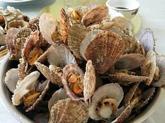 -宾朋海鲜特色美食餐厅·纯手工鲅鱼水饺(兴海路店)