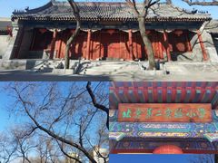 -北京第二实验小学