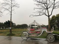 -广东花都香草世界旅游度假区