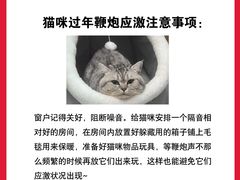 -守诺宠物医院·眼科· 特色牙科·异宠专科(虹口店)