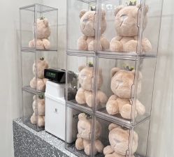 -三只熊皮肤管理中心旗舰店